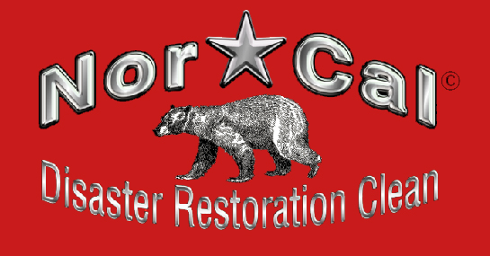 norcal-dr-logo-red